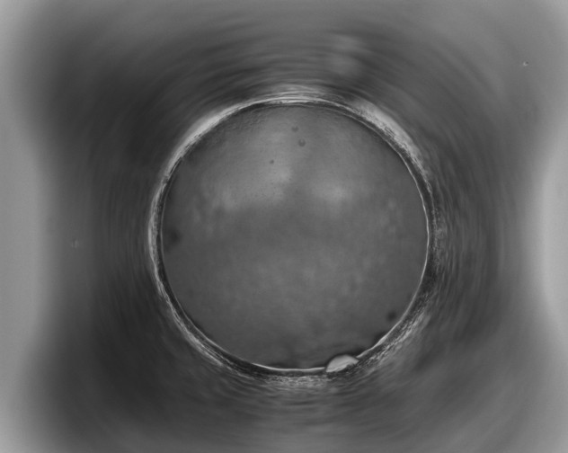 X0000097881429200803211325