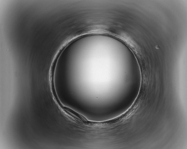 X0000097881430200803211325
