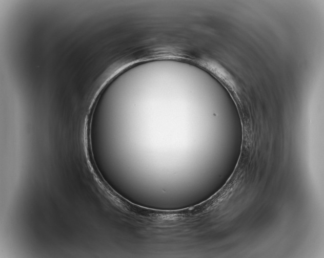 X0000097881431200803211325