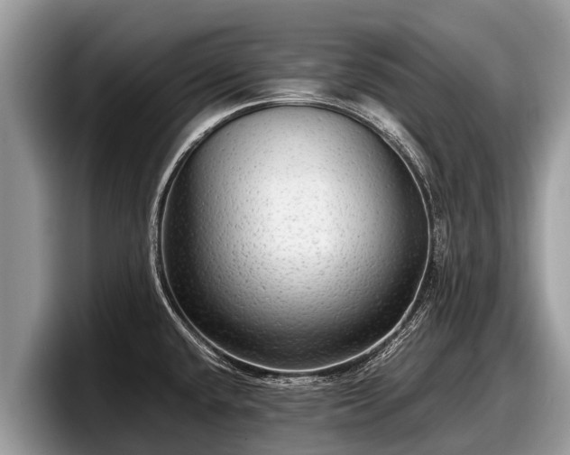 X0000097881432200803211325