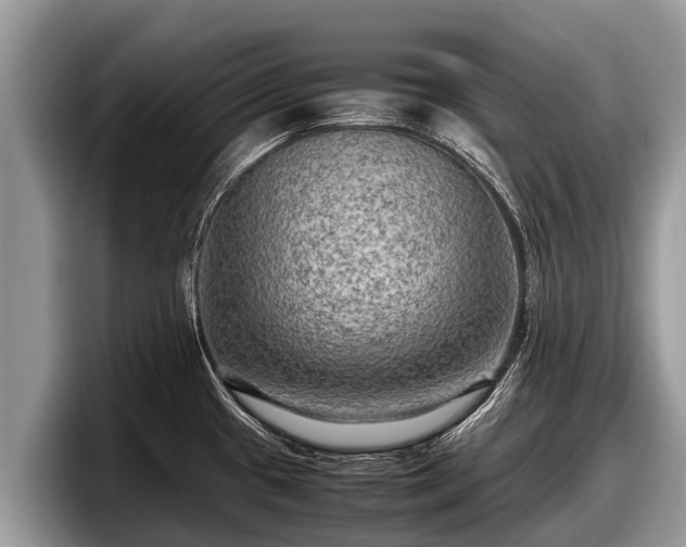 X0000097881433200803211325