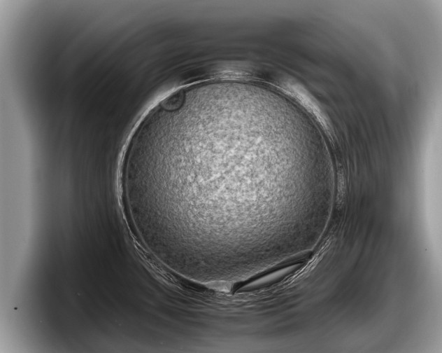 X0000097881435200803211325