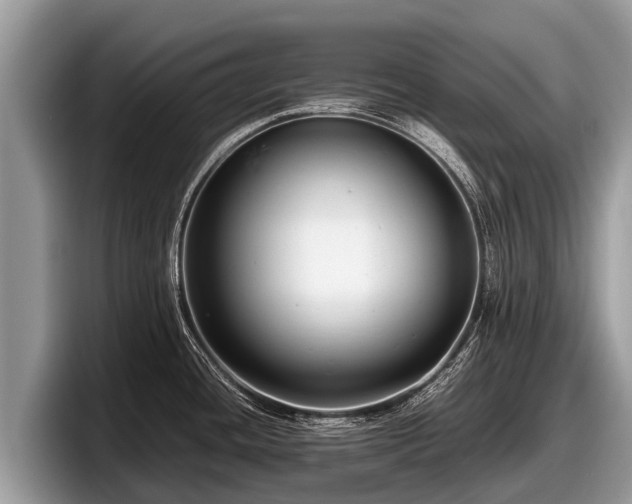 X0000097881436200803211325