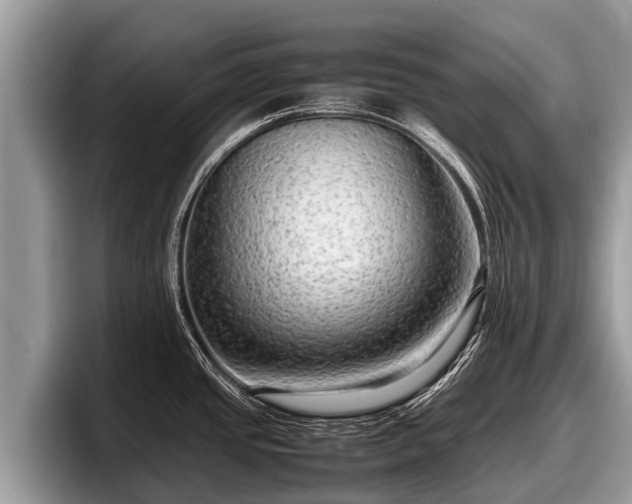 X0000097881437200803211325