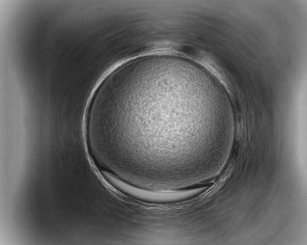 X0000097881438200803211325