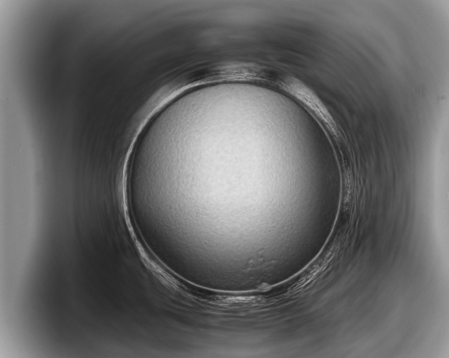 X0000097881439200803211325