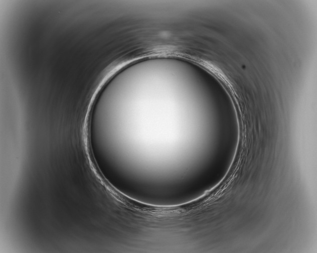 X0000097881440200803211325
