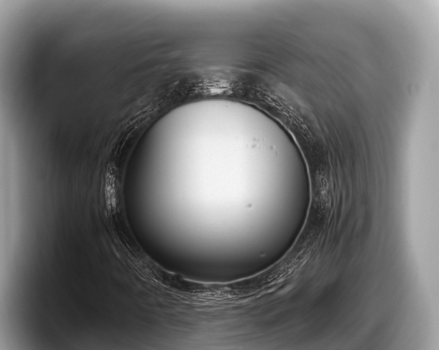 X0000097881442200803211325
