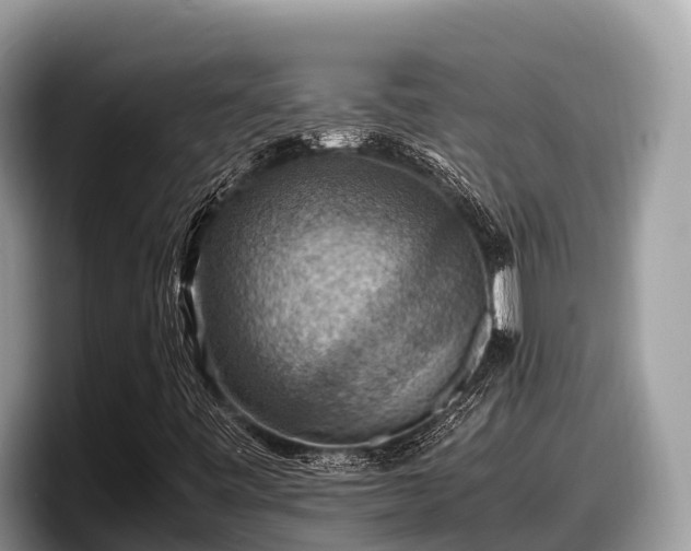 X0000097881443200803211325
