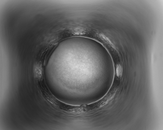 X0000097881444200803211325