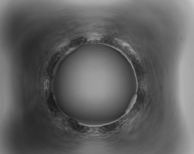 X0000097881445200803211325