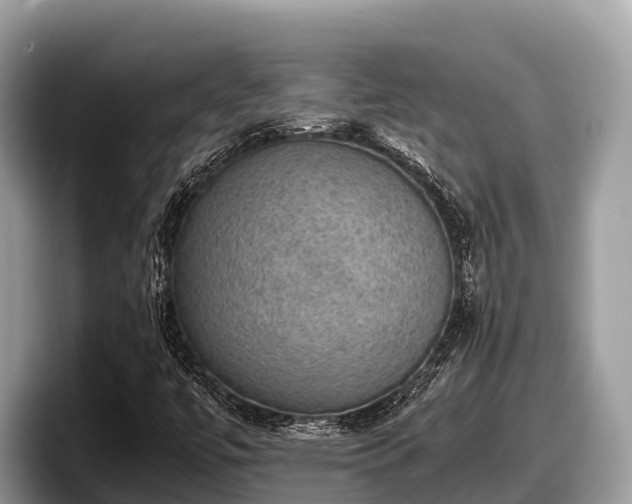 X0000097881447200803211325