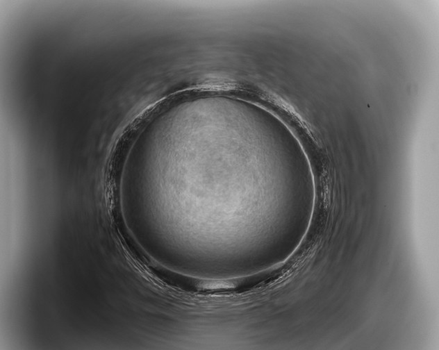 X0000097881448200803211325
