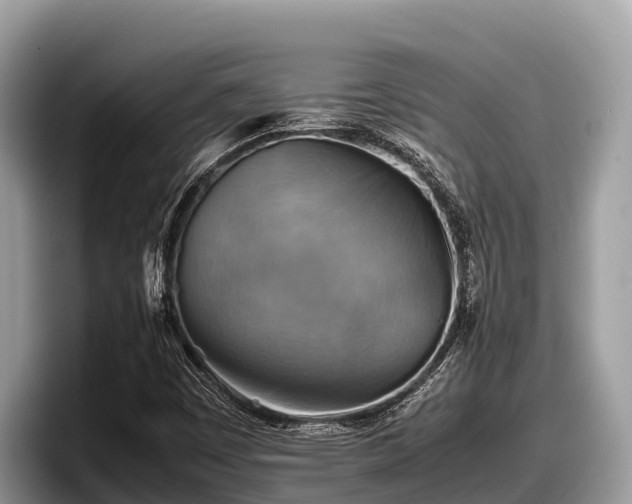 X0000097881449200803211325