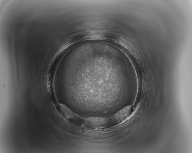 X0000097881450200803211325