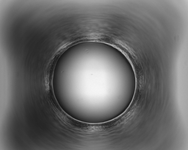 X0000097881451200803211325