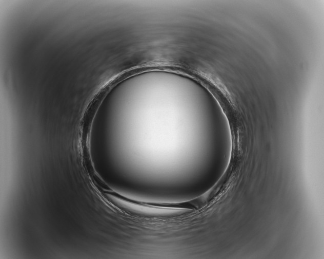 X0000097881452200803211325