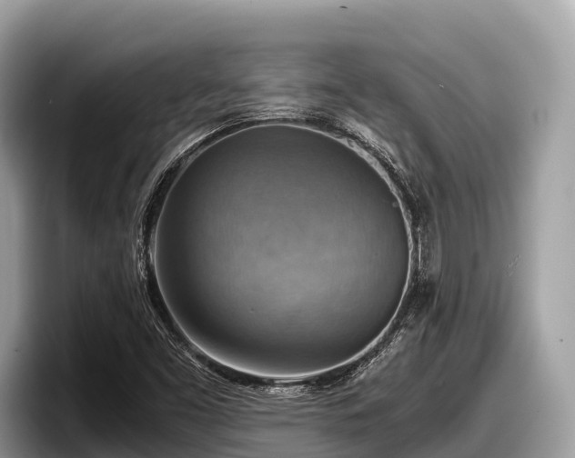 X0000097881453200803211325