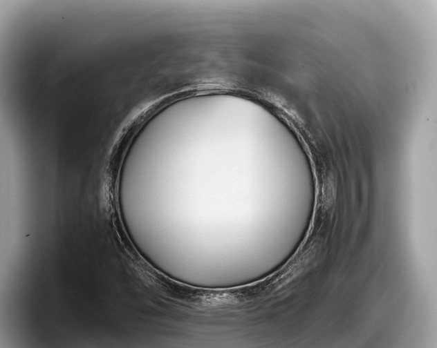 X0000097881454200803211325