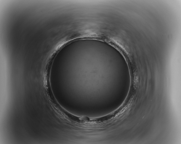 X0000097881455200803211324