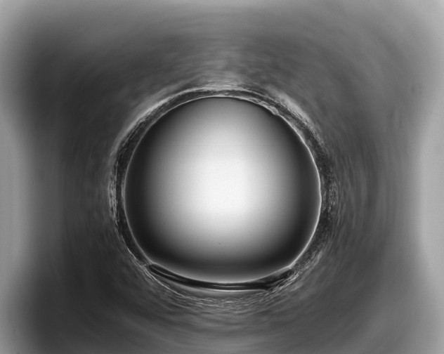 X0000097881456200803211324