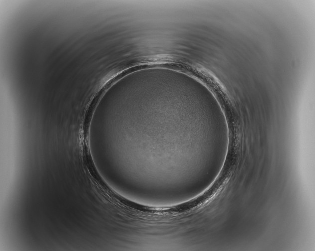 X0000097881457200803211324