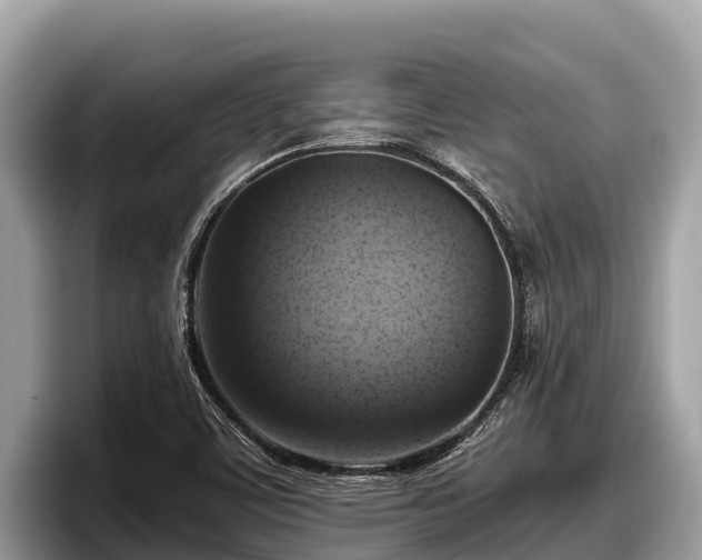 X0000097881459200803211324