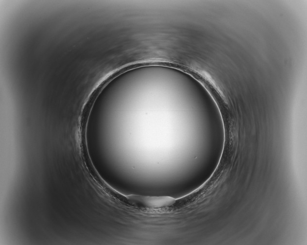 X0000097881460200803211324