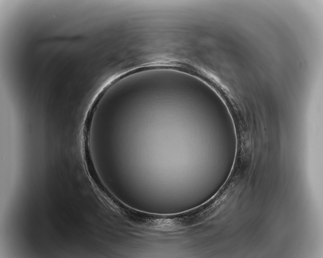 X0000097881463200803211324