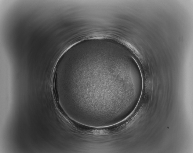 X0000097881465200803211324