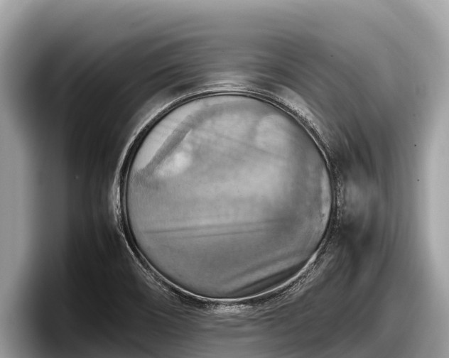 X0000097881466200803211324