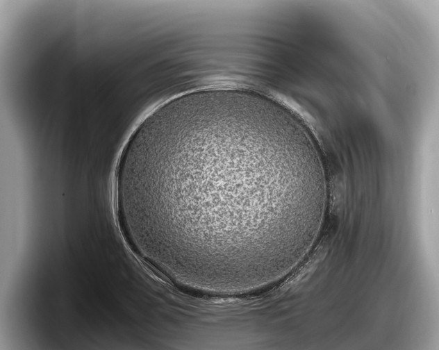 X0000097881467200803211324