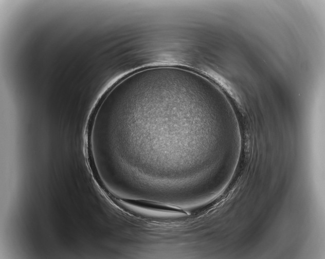 X0000097881468200803211324