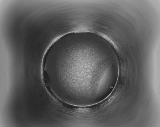 X0000097881469200803211324