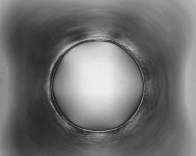 X0000097881470200803211324