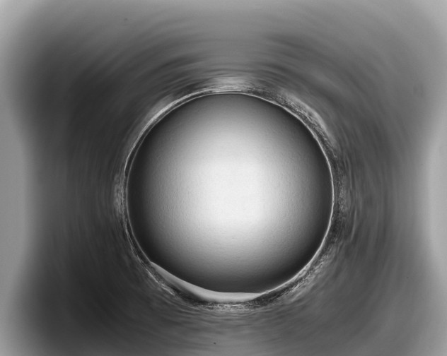 X0000097881473200803211324