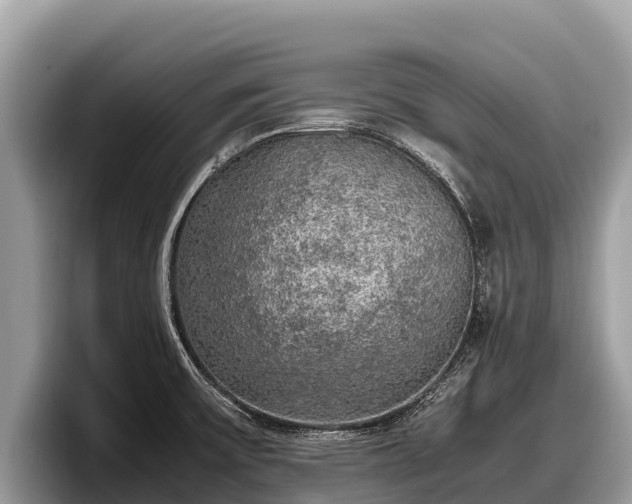X0000097881475200803211324