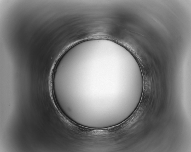 X0000097881478200803211324