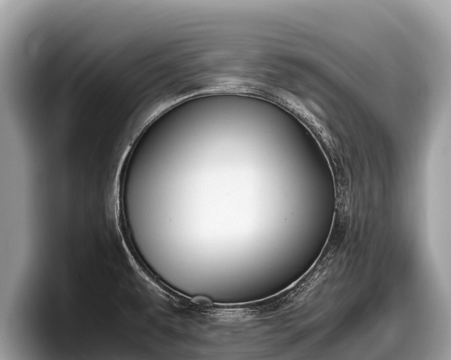 X0000097881479200803211324