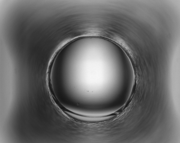 X0000097881480200803211324