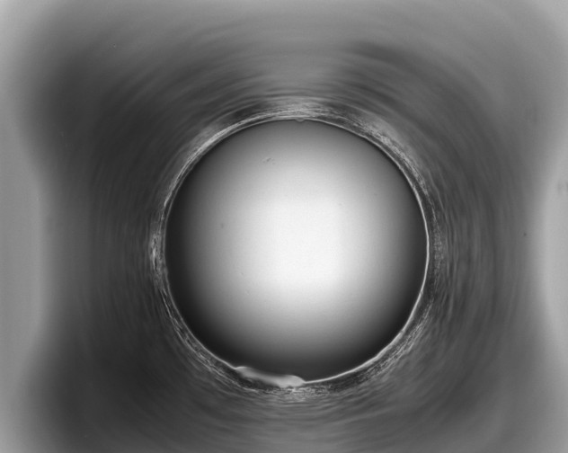 X0000097881481200803211324
