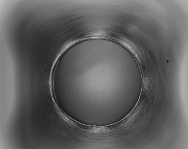 X0000097881482200803211324