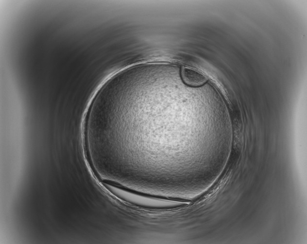 X0000097881483200803211324