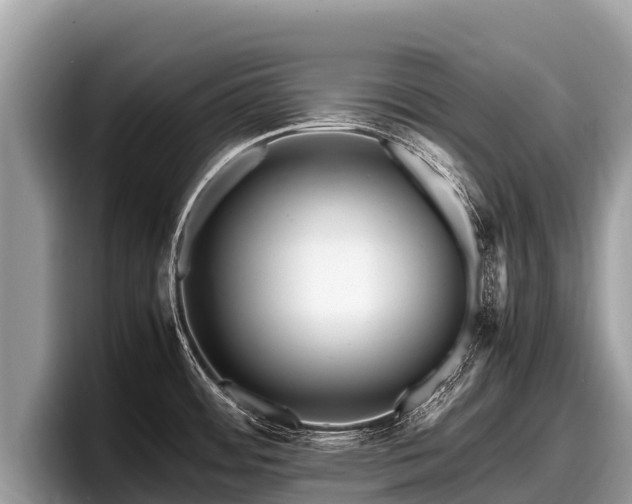 X0000097881484200803211324