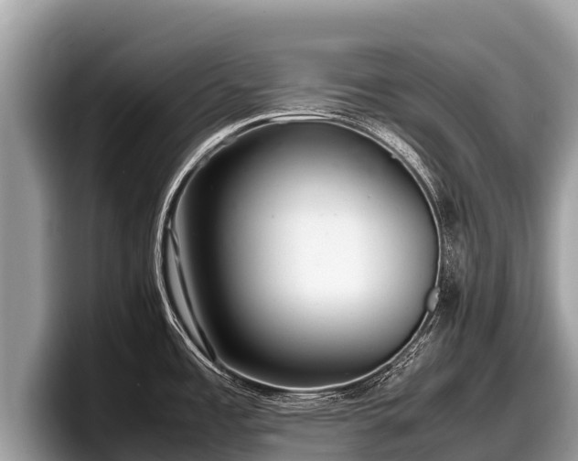 X0000097881485200803211324