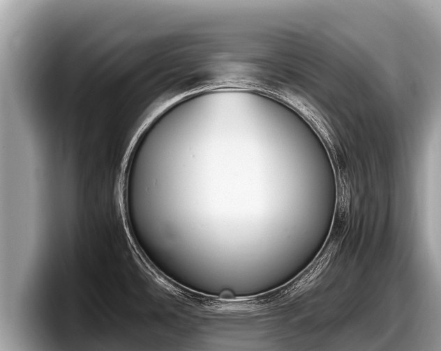 X0000097881486200803211324
