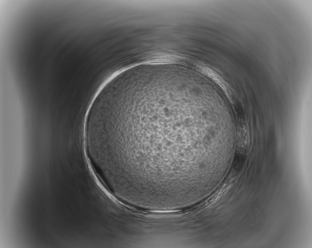 X0000097881487200803211324