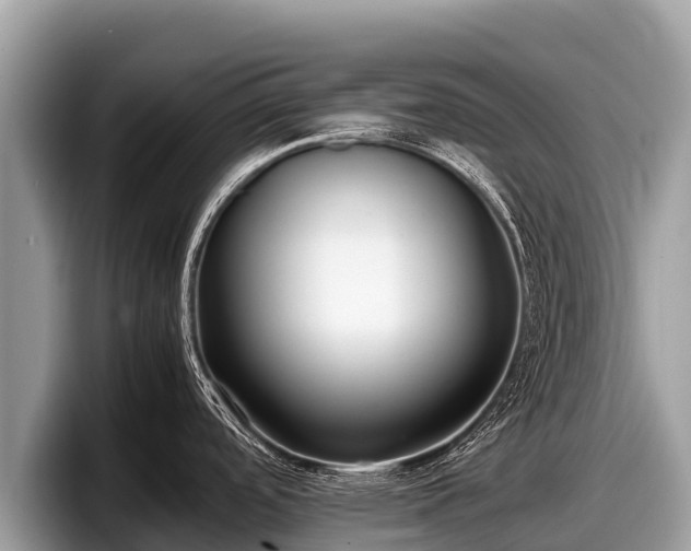 X0000097881488200803211324