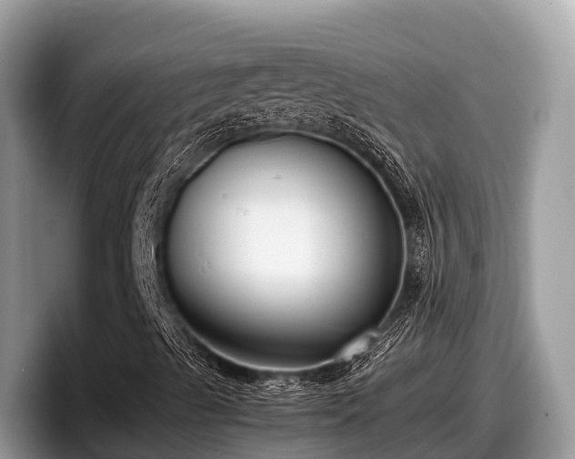X0000097881489200803211323
