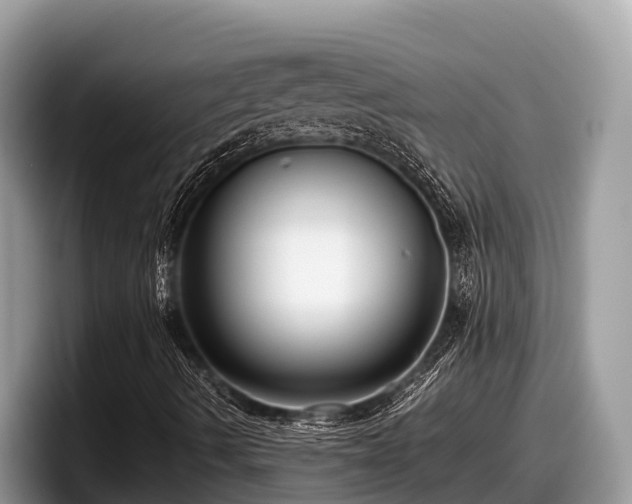 X0000097881490200803211323